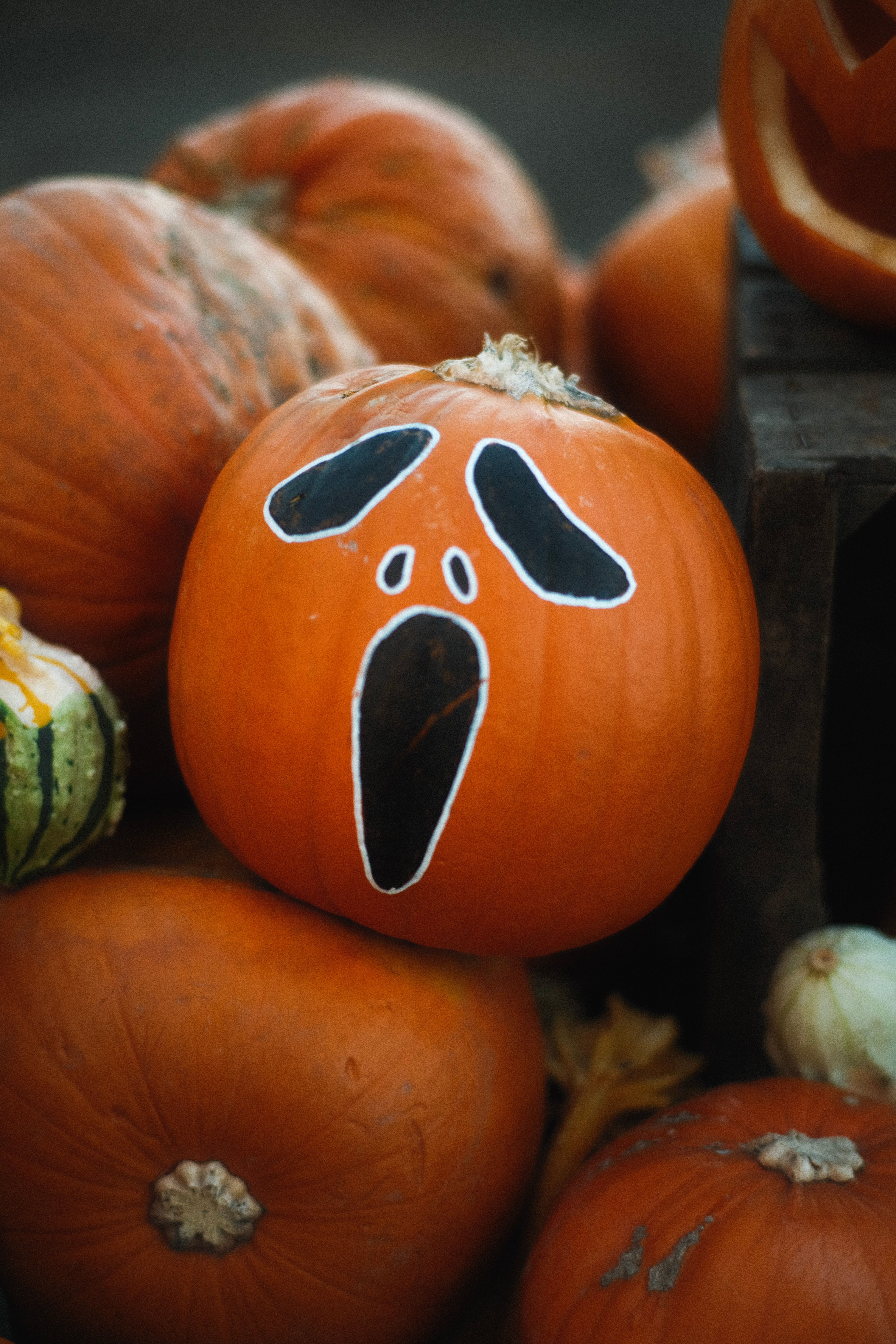Fall Fest Image